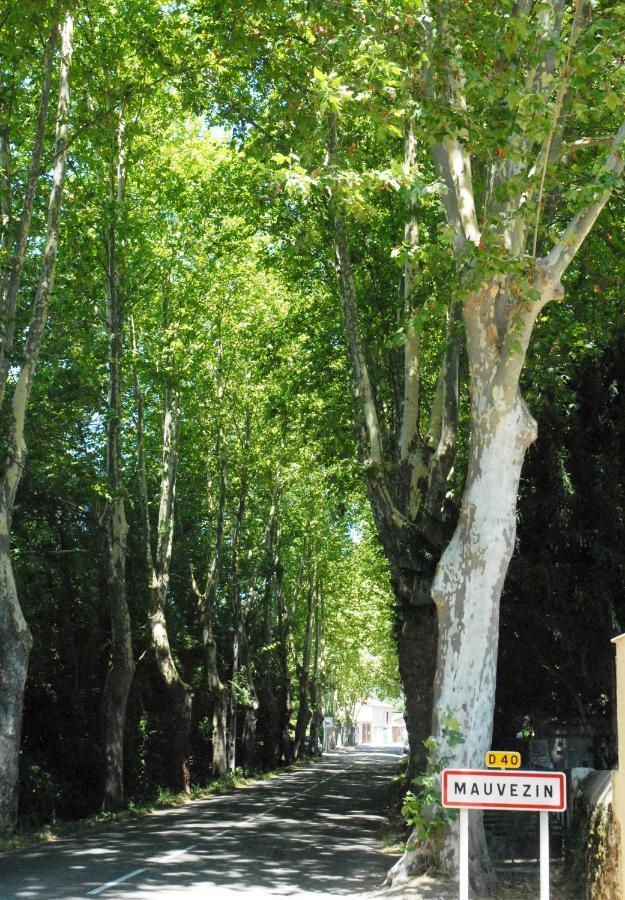 Vvf Gers Gascogne Ξενοδοχείο Mauvezin  Εξωτερικό φωτογραφία
